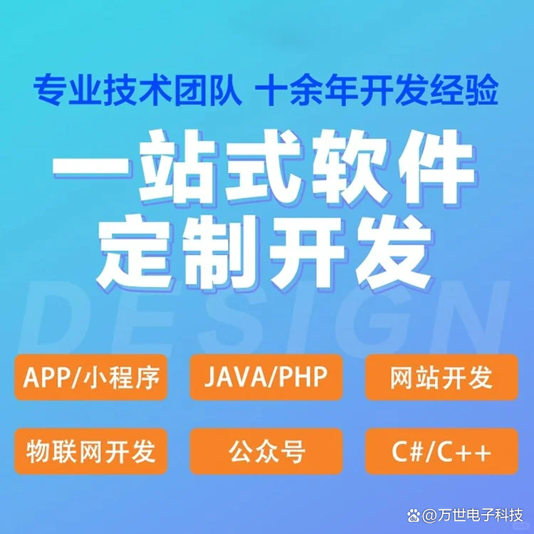 大石软件开发